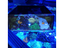 Flipper Top Down Viewer