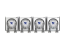 Ecotech Marine Versa 4 Pack with Base Station VXF-1