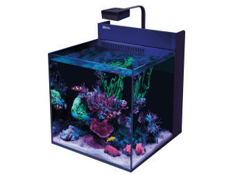 MAX NANO G2 XL AVEC MEUBLE Noir Redsea