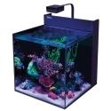 MAX NANO G2 XL AVEC MEUBLE Noir Redsea