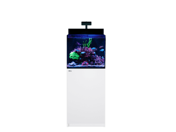 MAX NANO G2 XL AVEC MEUBLE Blanc Redsea