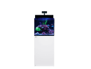 MAX NANO G2 XL AVEC MEUBLE Blanc Redsea