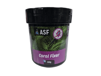 HOLDFAST Coral Fixer colle coraux AS violet