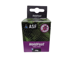 HOLDFAST Coral Fixer colle coraux AS violet