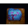 WYSIWYG - RAH Mycedium Ladybug 21F3