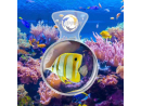 Flipper DeepSee Standard