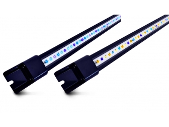 Vitamini VM-1800 Illumagic