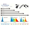 Vitamini VM-600 Illumagic