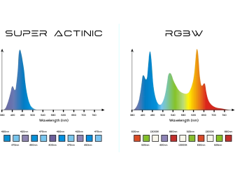 Vitamini VM-1800 Illumagic