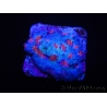 WYSIWYG - RAH Mycedium Ladybug 21F1