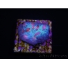 WYSIWYG - RAH Mycedium Ladybug 21F2