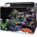 Aquarium REEF 120 AQUARIUM BLUE MARINE 