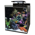 Aquarium REEF 90 AQUARIUM BLUE MARINE 