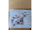 ArtReef Rock X-Large-EU784 9/11kg