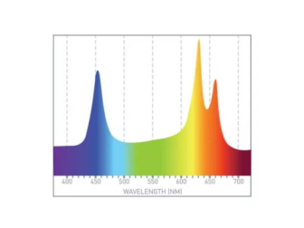 GRO Light con Staffa Piatta neptune systems