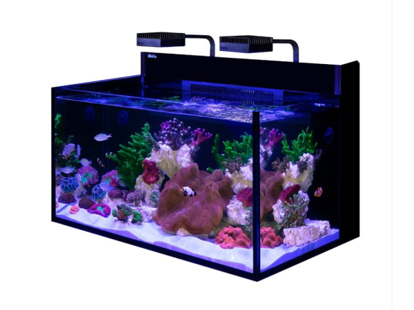 MAX NANO G2 XL