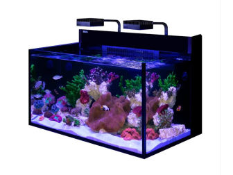 MAX NANO G2 XL