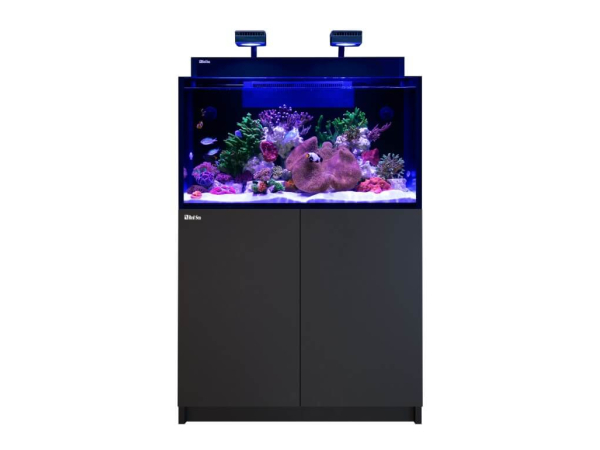 MAX NANO G2 XL