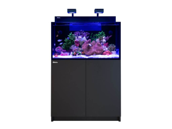 MAX NANO G2 XL