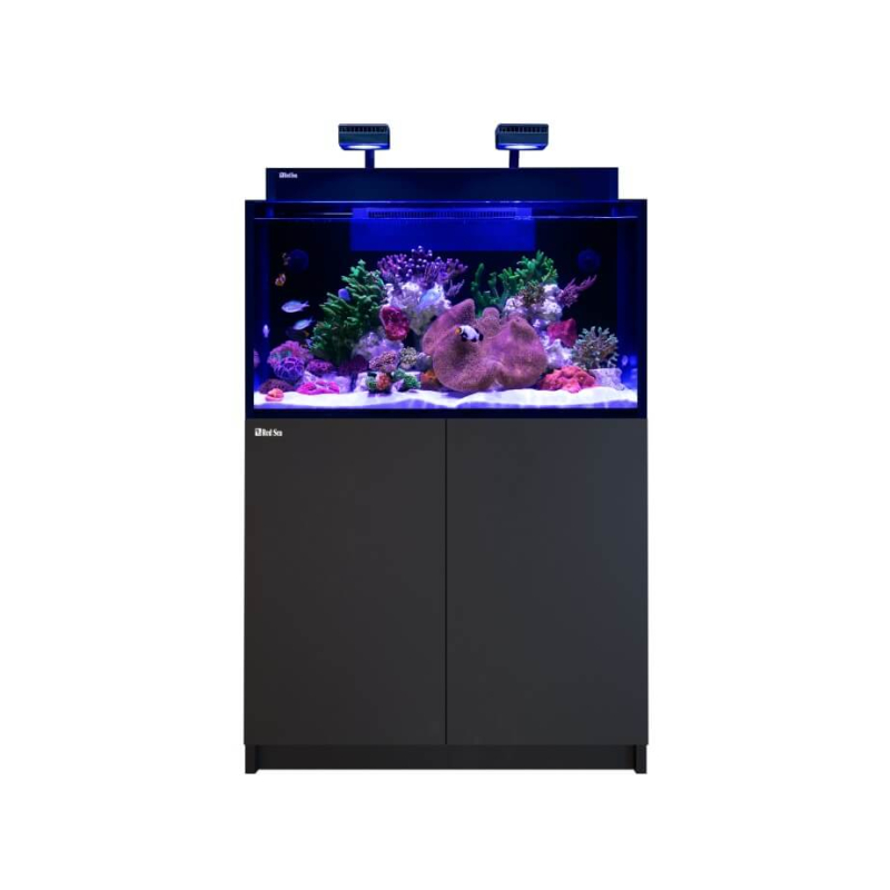MAX NANO G2 XL