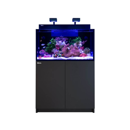 MAX NANO G2 XL