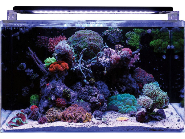 Aquarium REEF 160 BLUE MARINE