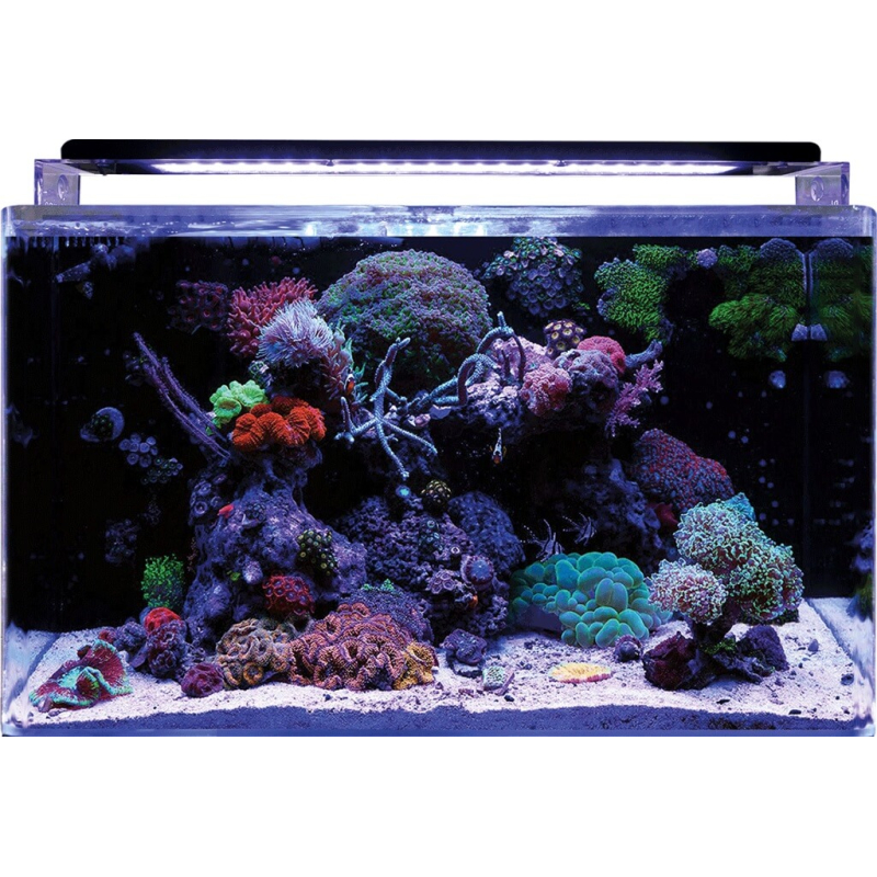 REEF 160 BLUE MARINE Aquarium