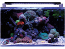 Acquario REEF 160 BLUE MARINE