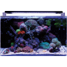 REEF 160 BLUE MARINE Aquarium