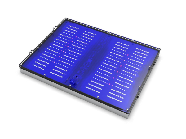 X4 SW Pro Illumagic WIFI