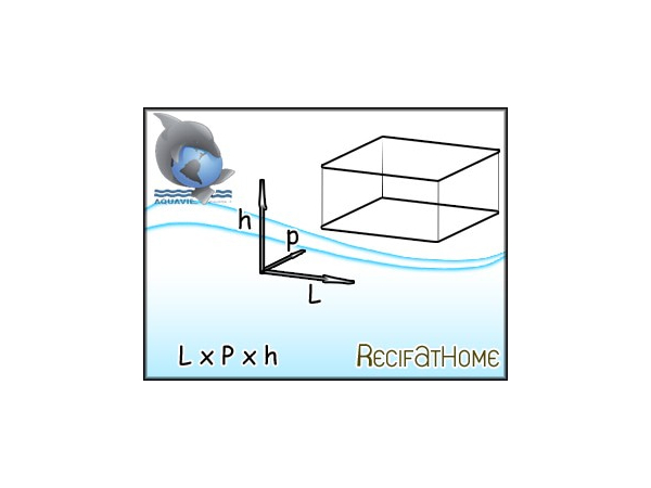 Cuve 600x300x350