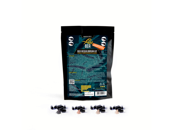 BEA AEQUILIBRIUM KIT