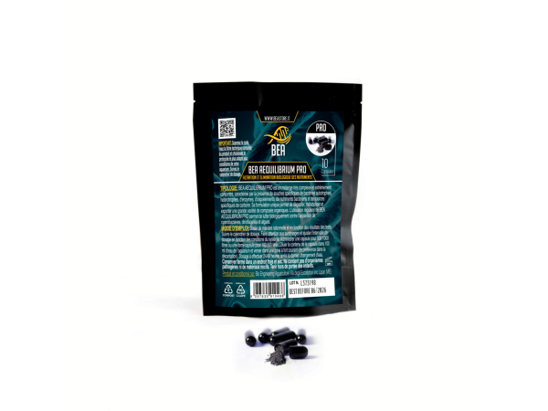 BEA AEQUILIBRIUM PRO