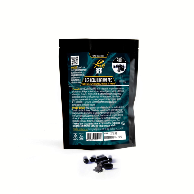 BEA AEQUILIBRIUM PRO