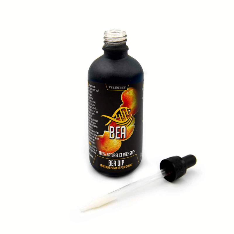 BEA DIP