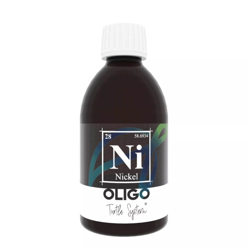 OLIGO Bario 250mL Turtle System - Gama OLIGO