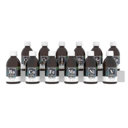 OLIGO Vanadium 100mLTurtle System - OLIGO Range