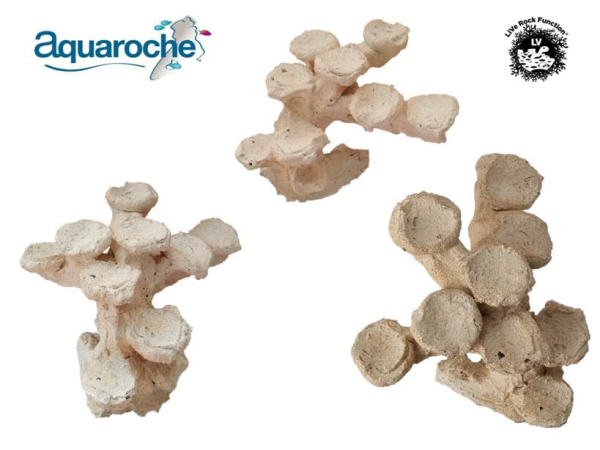 Euphy rock S L21 x H14 x P18 cm Aquaroche 540008