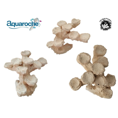 Euphy rock S L21 x H14 x P18 cm Aquaroche 540008
