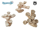 Euphy rock S L21 x H14 x P18 cm Aquaroche 540008