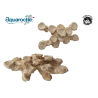 Zoa Garden Roca Meseta Inclinada 36cm Aquaroche 540004