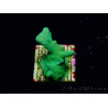 WYSIWYG - RAH Psammocora Green Branching 1