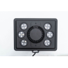 Jump MJ-L260 Blue LED Maxspect 