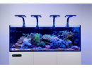 Maxspect Jump LED 65W