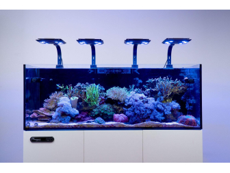 Maxspect Jump LED 65W BLU