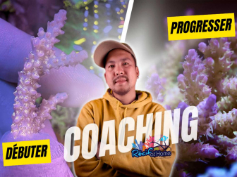 Reef Technics Tai - 1 Hour Coaching