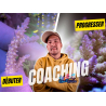 Reef Technics Taii - Coaching d'1 Heure