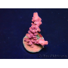 WYSIWYG RAH Acropora Cherry Bomb 5A4