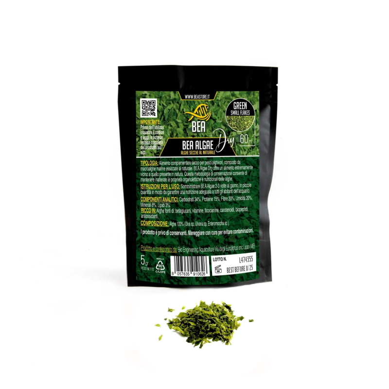 BEA AEQUILIBRIUM KIT