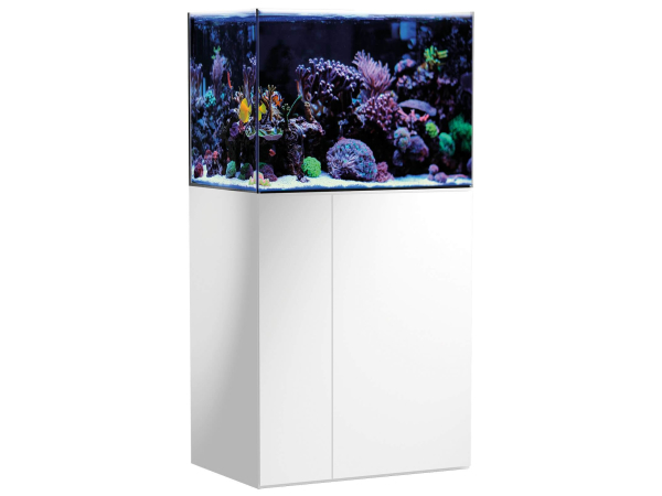 Armatus 250 blanc Aqua Medic